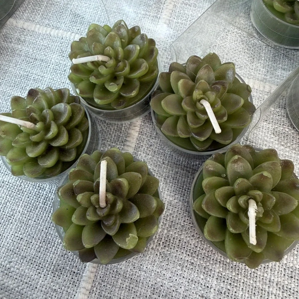 Artistic Accents Succulent Tea Light Candles 36 Count Green Cactus Decor Set